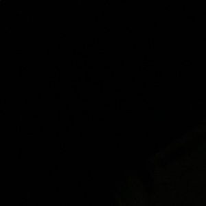 Meet your Posher, Paige